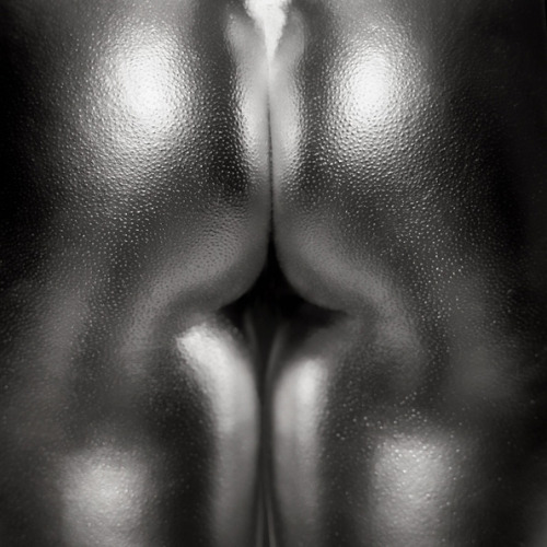 EPONA (via SILVER | Guido Argentini Photography)