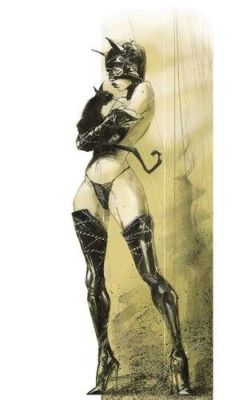 longlivethebat-universe:  Catwoman by Anthony Jean