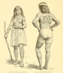   Illustrations of tattooed Haida people, from the 1880 Annual