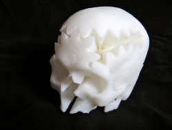 strangebiology:  Can’t find or afford skulls? 3D print them!