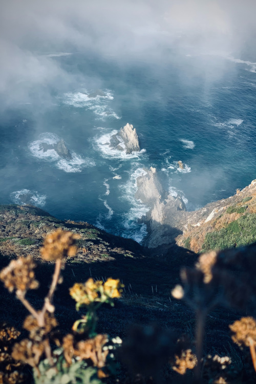 expressions-of-nature:  Big Sur, CA by Francisco Delgado