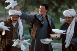 unrar:  Afghanistan, Mazar Sharif. White doves, who are supposed