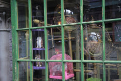 sexypadfoot:  Magical Menagerie, WWoHP, Orlando. x 