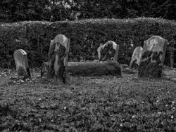 reynard1884:  Gravestones - St Peter’s Church, Kingerby, Lincolnshire