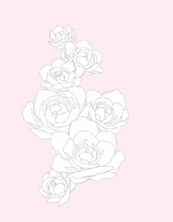 sweetily:  roses | source do not remove caption/ credit  or