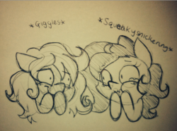 princessnoob:  Me and Wildberry are awful. Also poofy ponies