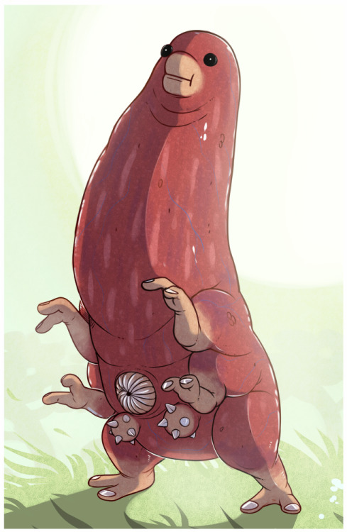 henzolin:   MMMMMMMajestic  I’m sorry, I felt compelled to draw this beautiful creature.