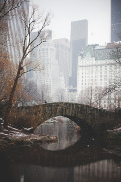 8birds:  Snowy, Peaceful Day in Central Park (by Justin Amoafo