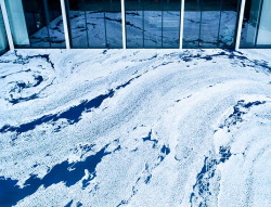 fohk:  Motoi Yamamoto: floating garden composed from salt source