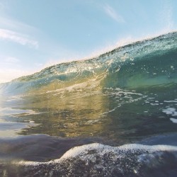 surfboner:  Weekend workout. 