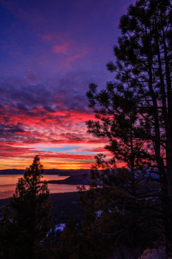 satakentia:  Reaching for colorsLake Tahoe, Sierra Nevada, California,