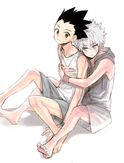 pictolita:  HunterXHunter- Killua and Gon. After long, desperate,