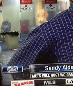 notdbd:  New York Mets postgame clubhouse, October 1, 2016, via