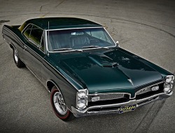 utwo:  ‘67 Unrestored Pontiac GTO© scotty lachenauer