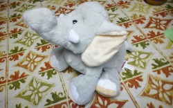shads-world:During work today I saw this little Webkinz elephant