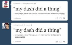 wailorded:  my dash did a thing 