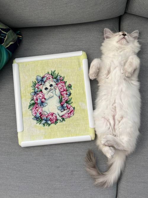 crossstitchworld:  “White kitten with peony and butterflies”