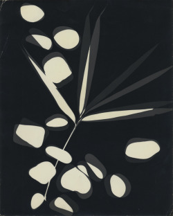 zzzze:  György Kepes, Untitled, Photogram, 1951 