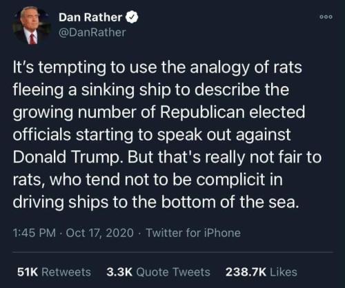 kittydesade:30-minute-memes:Don’t insult the good name of rats