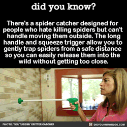 did-you-kno:  There’s a spider catcher designed for  people
