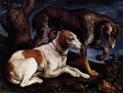 artmastered:  Jacopo Bassano, Two Hounds, 1548-49 
