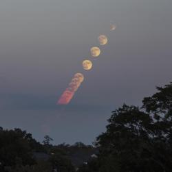 photos-of-space: My take on tonight’s supermoon from Auburn,