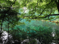 chinadigitaltimes:  Photo: Lake in Jiuzhaigou, by funkz http://ift.tt/1lLvF3C