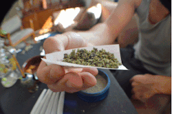 runtrees:  rollin up 
