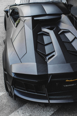 envyavenue:  Mansory Carbonado GT / Hugo James