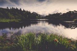 ksorra:   Ireland by Andy Bennett and Tracey Richards Photography