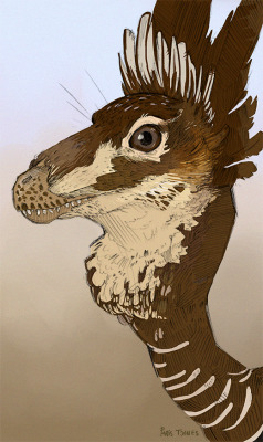 lostbeasts:  parisoon:  Troodon - the original Greater Prairie