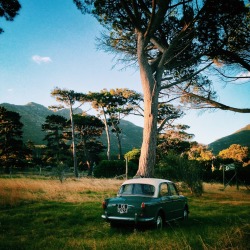 lensblr-network:  One of my favourite Cape Town shots. Edited