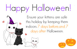 kittensplaypenshop:  Halloween is one of the best holidays of