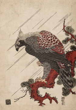 thekimonogallery:  Eagle on a Pine Branch in the Rain.  Woodblock