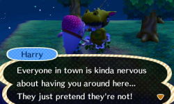 Amber’s town doesn’t like me :/