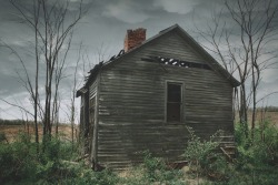 chadcochranphotography:Broken Hearted Fool, rural Ohio