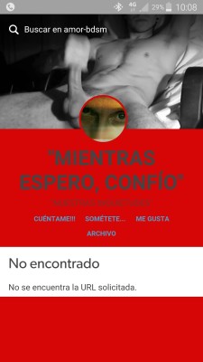 PASO A INFORMAR DE QUE EL PLAGIADOR, DEL QUE ADJUNTO SU BLOG