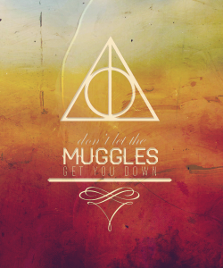 oliviadonohoe5:  Don’t let muggles get you down. Love Harry