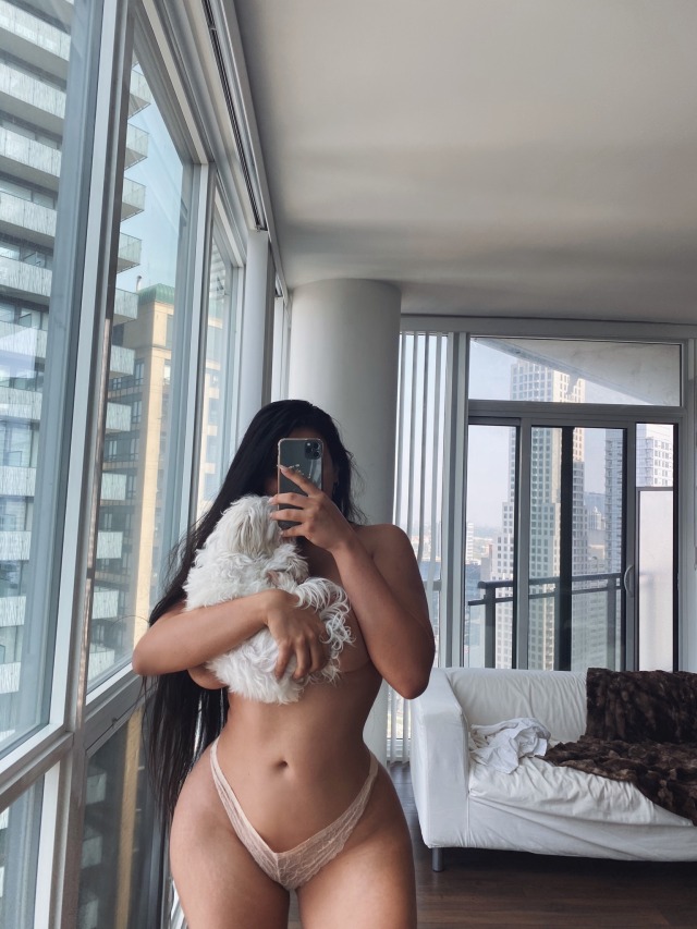 shadowseyyy:Sleepy 🐶 