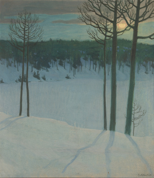 catonhottinroof:    Väinö Blomstedt (1871 - 1947)Winter landscape