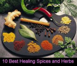 veganmovement2012:  10 great healing spices and herbs  TurmericThis golden spice, used in almost every meal in India is very valuable. “It is a very powerful healer. It prevents growth of cancer cells and thus can prevent cancer,” says Mumbai-based