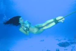 sir-x-art:  under the red sea… yes I have been there, it’s