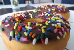 oh-wo4h:  am i the only one who spells it as donut and not doughnut…