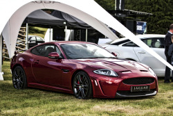 carpr0n:  Meow Starring: Jaguar XKR-S (by jasoncornish) 