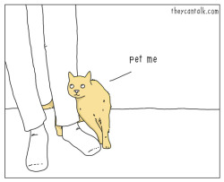 theycantalk:pet me