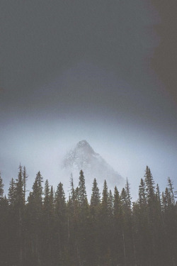 avenuesofinspiration:  Looming Giant | Source © | AOI