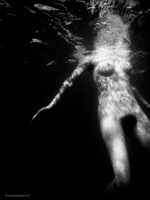 falling into the dark, by Daniel Bauer