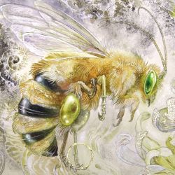 shadowscapes-stephlaw:  A #honeybee from “#Dreaming blossoms”.