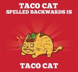 Taco Cat