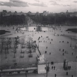 Tuileries  (at Grande Roue de Paris)